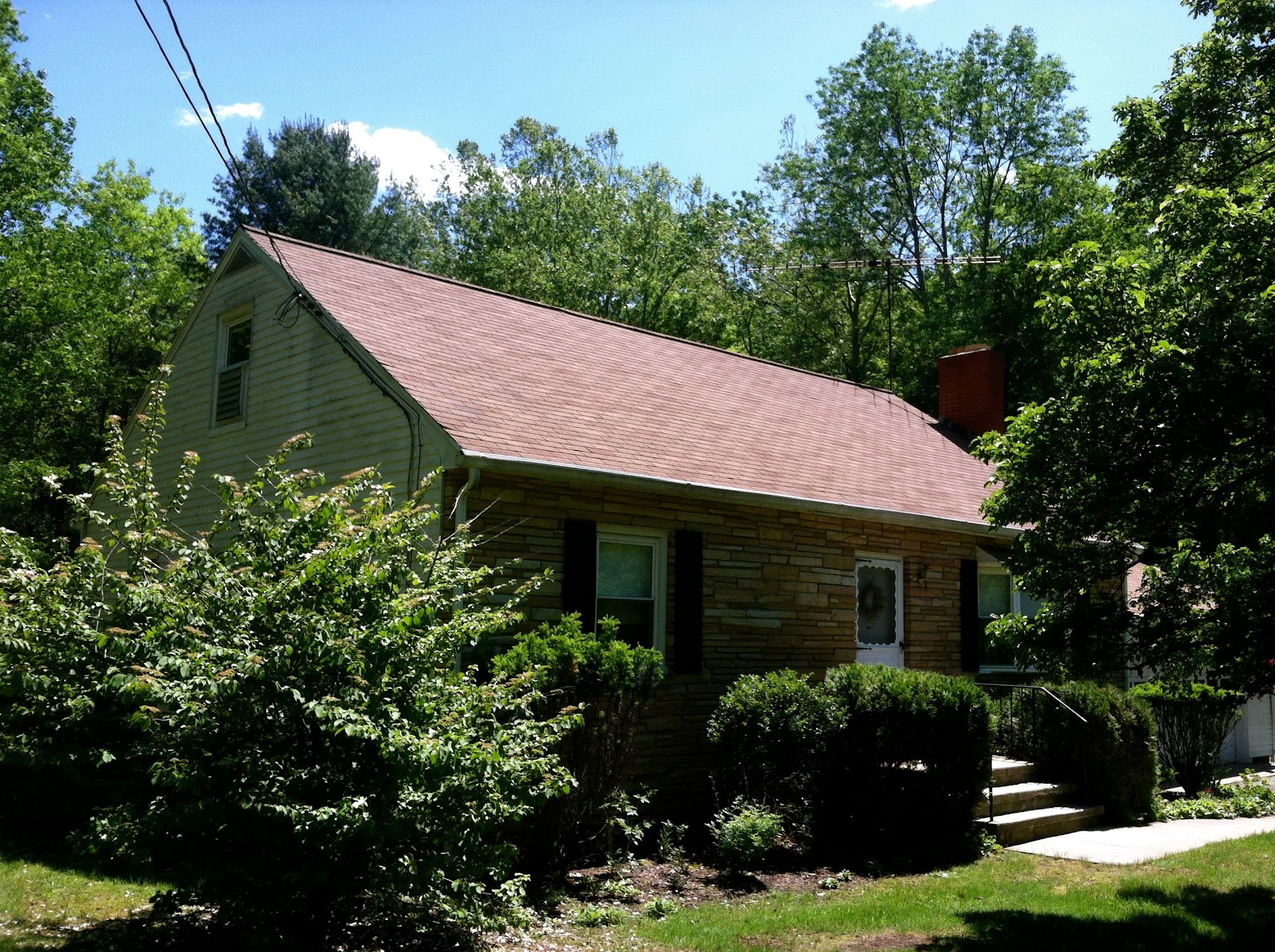 Top Roof Cleaning in East Stroudsburg, PA